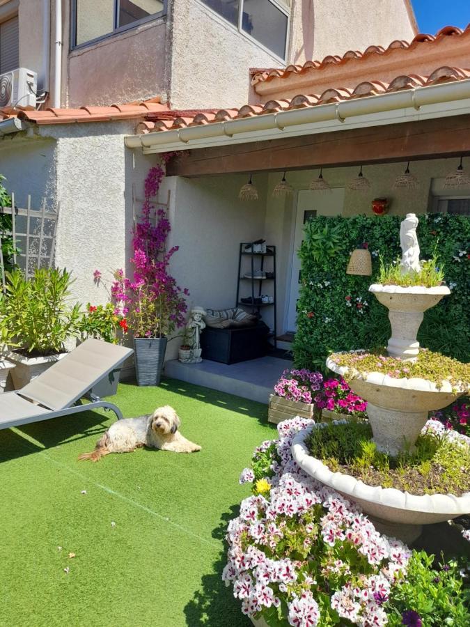 Apartament Les Pieds Dans L'Eau Sainte-Marie-la-Mer Zewnętrze zdjęcie